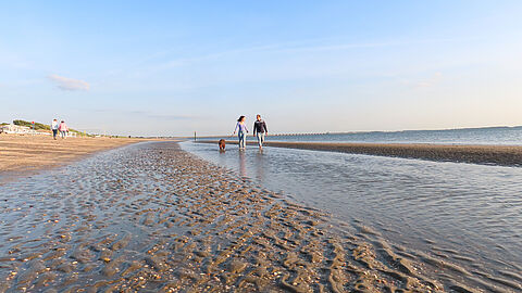 Wandelaars met hond op het strand bij Rockanje