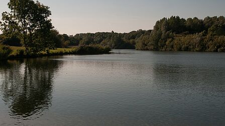 Bernissegebied bij Simonshaven, met veel water en groen.