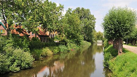 Singel in de wijk De Hoek in Spijkenisse, met veel groen aan de kant.