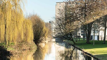 Singel met treurwilgen in de wijk Sterrenkwartier in Spijkenisse