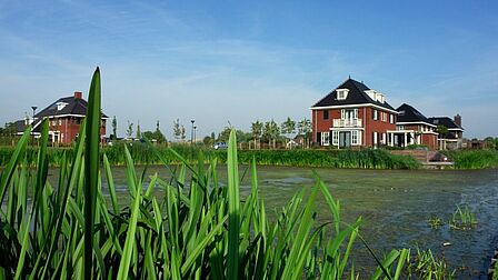 Riante, vrijstaande notariswoningen in zelfbouwwijk Heer en Meester in Hekelingen.