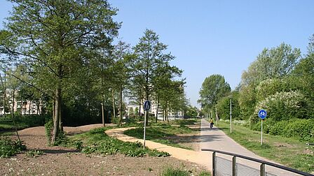 Fietspad en bomen in de wijk De Hoek in Spijkenisse.