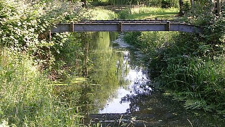Singel met loopbruggetje in het groene Hartelpark in Spijkenisse (wijk Schiekamp-Hoogwerf).