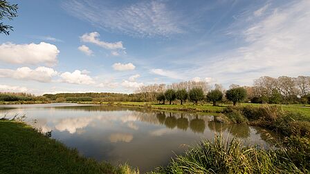 Rust, ruimte, groen en water in het Bernissegebied bij Zuidland.
