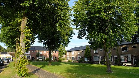 Eengezinswoningen aan een parkje in de wijk Groenewoud in Spijkenisse.