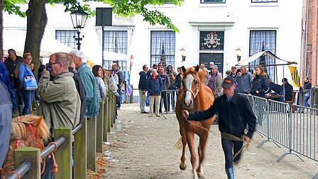 Een paard loopt met zijn begeleider een parcours op de Paardenmarkt in Heenvliet.